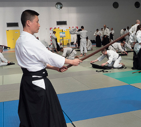 Aikido 77 Emerainville sotodeshi du dojo
